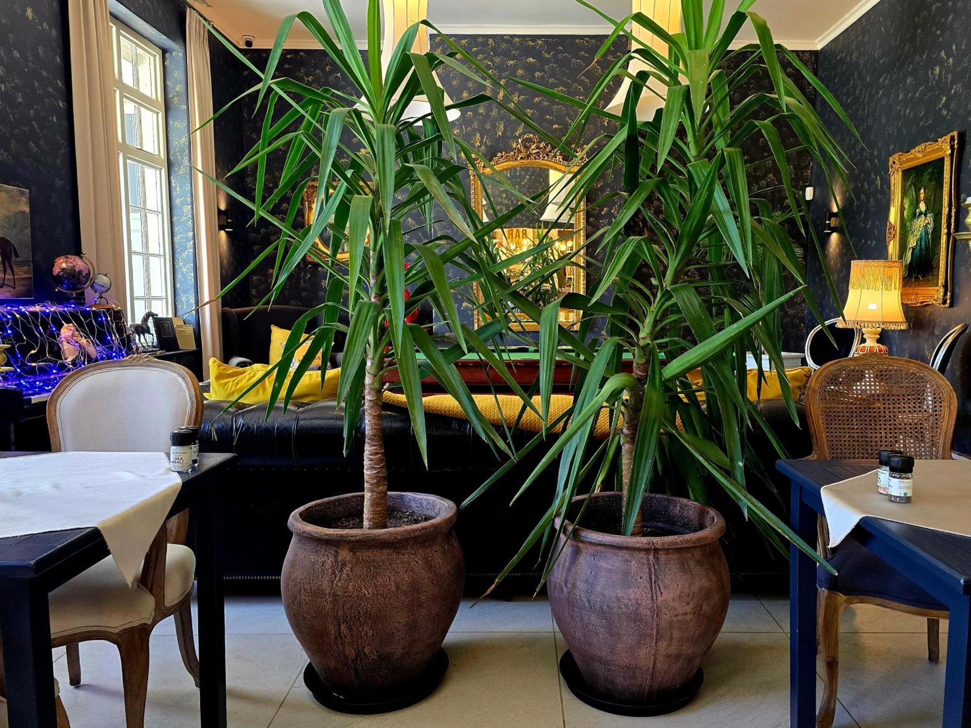 Pjure Boutique Hotel & Spa Montagu Buitenkant foto